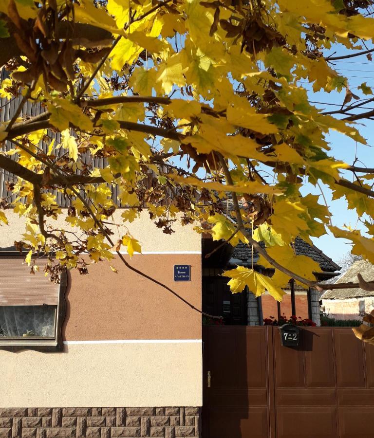 Apartman Sokica Bizovac Exteriér fotografie